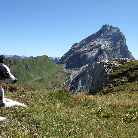 Sonnenhaus Sander Schruns Eksteriør billede